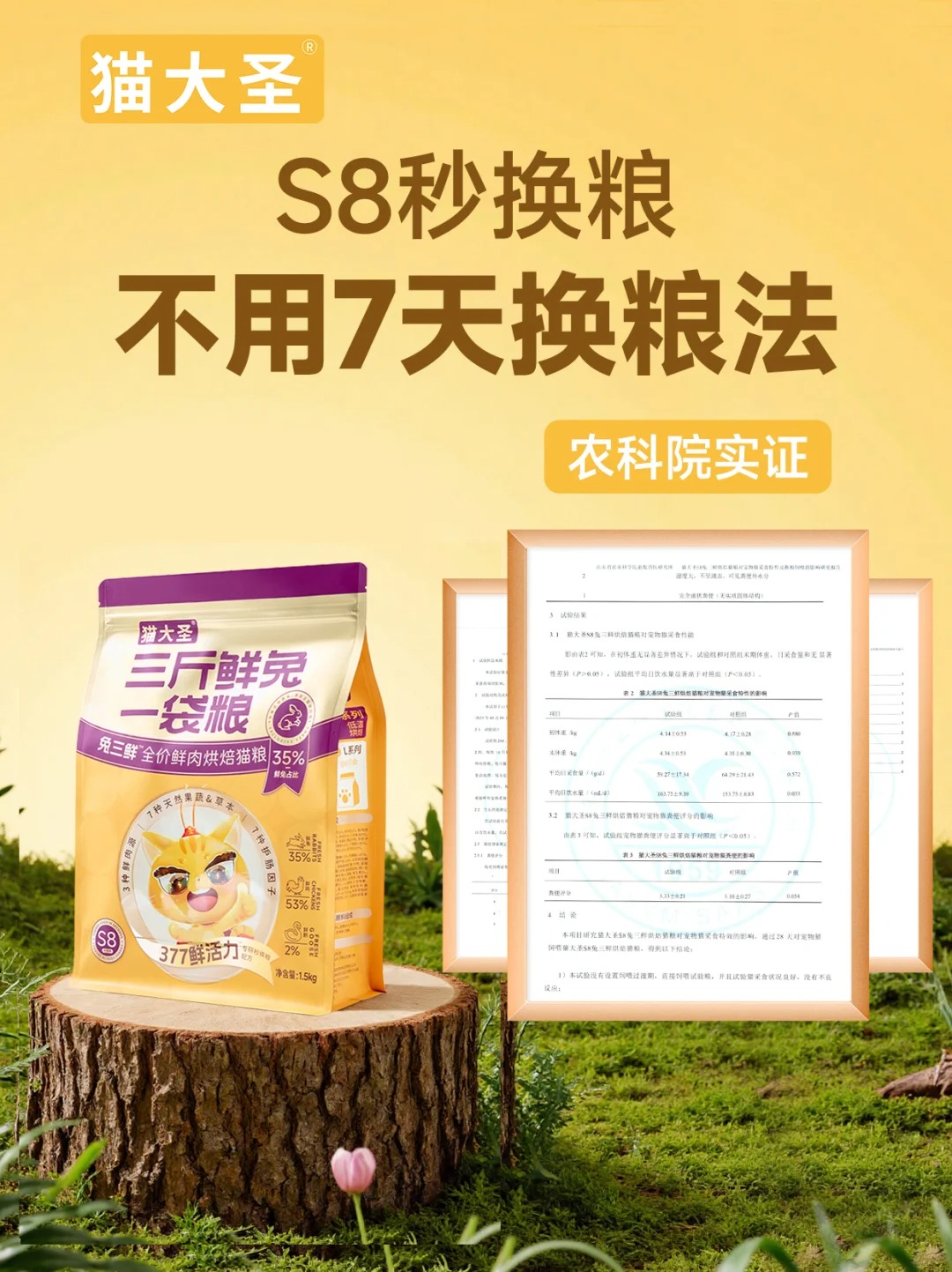 哪款猫粮性价比高?2025 年实测十大性价比猫粮排行榜! 哪款猫粮性价比高?2025 年实测十大性价比猫粮排行榜!