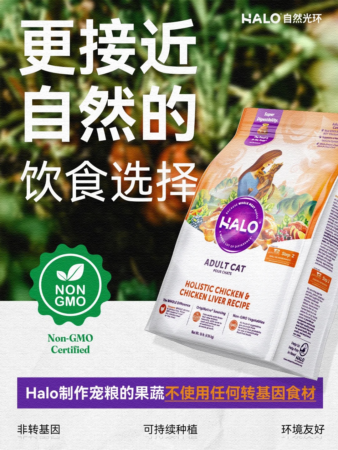 哪款猫粮性价比高?2025 年实测十大性价比猫粮排行榜! 哪款猫粮性价比高?2025 年实测十大性价比猫粮排行榜!