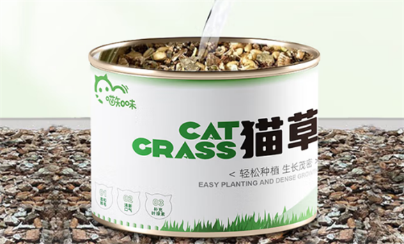 喵知味水培猫草的种植方法 喵知味水培猫草的种植方法