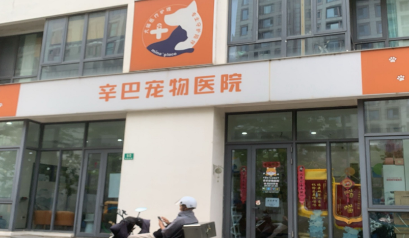 宠物医院哪个最好？辛巴宠物医院，更专业，更温馨！