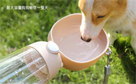 宠物水杯买哪个？润逸达：便携出行宠物喝水自由