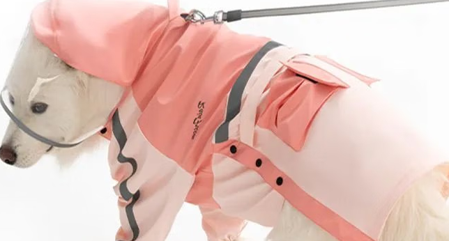 琴飞曼狗狗雨衣需要买吗 琴飞曼狗狗雨衣需要买吗