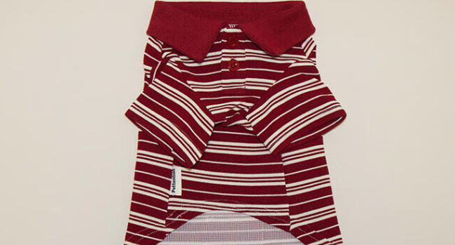 Pettention宠物衣服前景如何