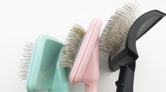 宠物美容针梳有哪些?宠缘——爱宠毛发护理的贴心伙伴 宠物美容针梳有哪些?宠缘——爱宠毛发护理的贴心伙伴