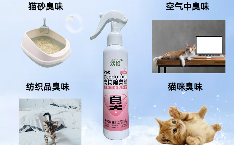 猫咪除臭剂真的有用吗？欢拾95%+除臭率用实力打破质疑