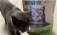2025猫咪吃什么猫粮增肥效果好？耐威克轻松改善猫咪瘦弱难题