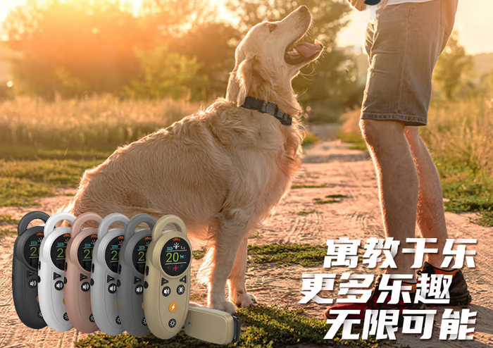 多美戈遥控训狗器怎么训狗