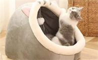 猫窝买什么样的比较好？今宠，让毛孩子拥有舒适空间