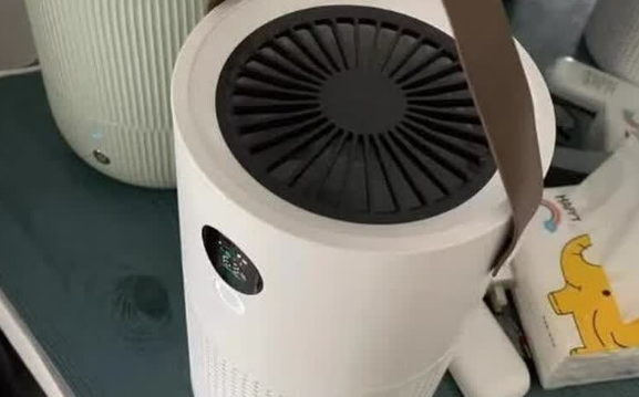 宠物空气净化器哪个牌子好?柠檬风给家人多一层安心保障! 宠物空气净化器哪个牌子好?柠檬风给家人多一层安心保障!