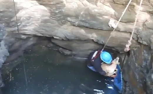 狗狗掉入8米深的井底,又冻又饿的只能等死!下一秒却遇到好心人 狗狗掉入8米深的井底,又冻又饿的只能等死!下一秒却遇到好心人