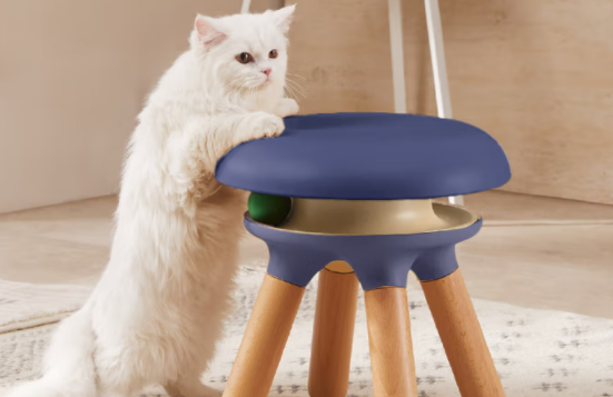 独特的猫玩具有哪些?CASADOSA猫玩具凳,人宠共用 独特的猫玩具有哪些?CASADOSA猫玩具凳,人宠共用