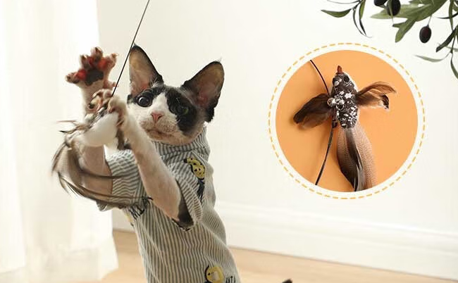 逗猫棒选哪种才安全?宅米兔从材料到设计守护猫咪健康 逗猫棒选哪种才安全?宅米兔从材料到设计守护猫咪健康