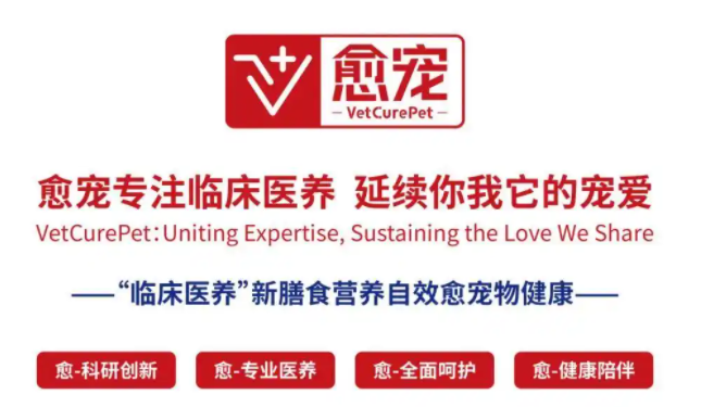 愈宠：以爱之名，让善意被接力传递