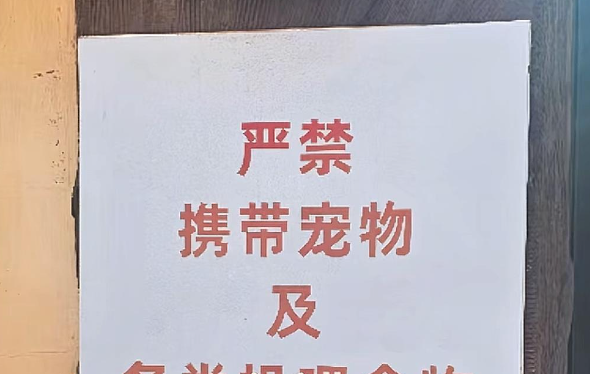 天津动物园回应游客带宠物狗看顶流熊猫喜乐:明令禁止 天津动物园回应游客带宠物狗看顶流熊猫喜乐:明令禁止