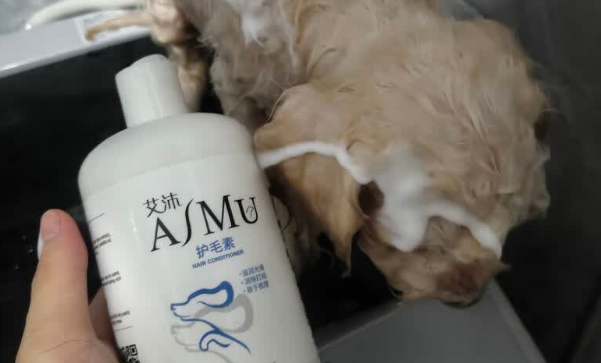 宠物护毛素什么牌子好用?艾沐给爱宠毛发的深层修护SPA 宠物护毛素什么牌子好用?艾沐给爱宠毛发的深层修护SPA