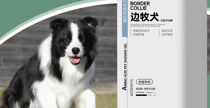 边牧狗狗专用沐浴露推荐拖猫带狗,为爱犬量身打造健康洗护方案 边牧狗狗专用沐浴露推荐拖猫带狗,为爱犬量身打造健康洗护方案