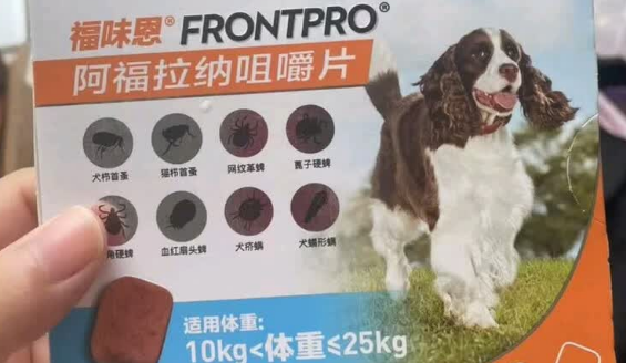 福味恩驱虫药能杀死跳蚤吗