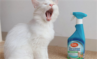 猫用除味剂有用吗?多猫家庭亲测森宝露效果惊艳