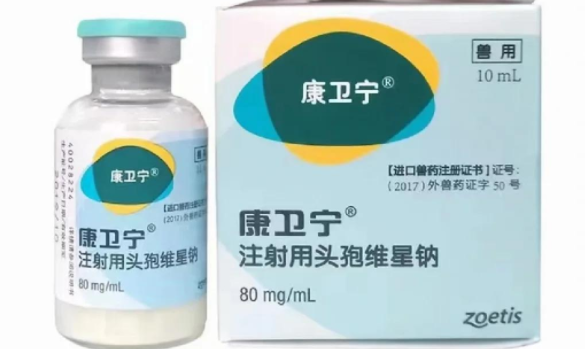 宠物皮肤病怎么治疗?康卫宁(注射用头孢维星钠)一阵即可见效 宠物皮肤病怎么治疗?康卫宁(注射用头孢维星钠)一阵即可见效