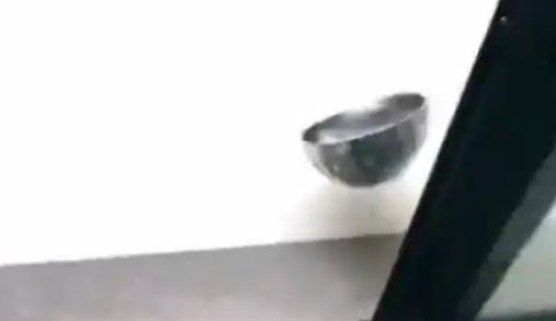 主人忘记喂食，狗狗叼起食盆就砸！狗狗：超生气，要这饭碗何用