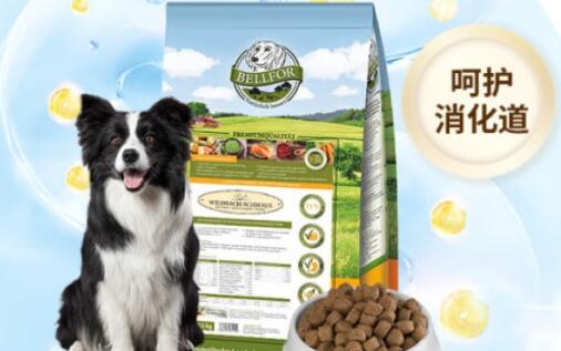 bellfor狗粮怎么样