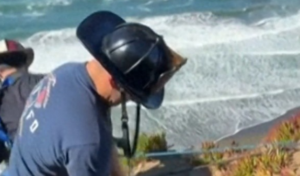 美国旧金山一只狗掉落悬崖,被救起给每个消防员一个吻 美国旧金山一只狗掉落悬崖,被救起给每个消防员一个吻