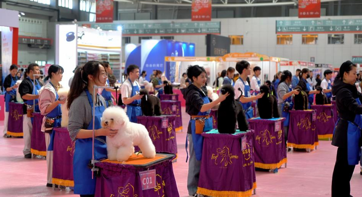 四日狂欢开启萌宠秋日盛宴，2025亚太宠物节在青岛蓝谷启幕