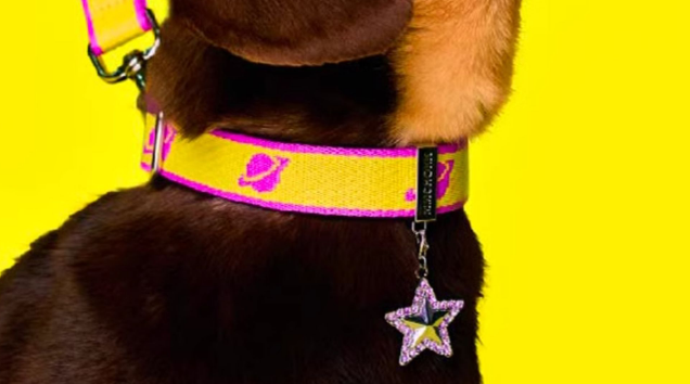 MMCHOKK牵引绳多少钱