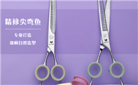宠物剪刀品牌有哪些？内海宠物剪刀让宠物美容告别“抗拒”