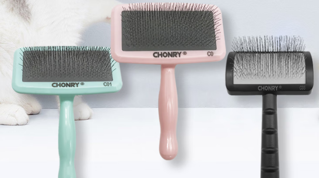 宠物美容针梳有哪些?宠缘——爱宠毛发护理的贴心伙伴 宠物美容针梳有哪些?宠缘——爱宠毛发护理的贴心伙伴