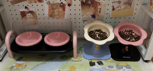 宠物碗哪个牌子好？keevii：用颜值与实力圈粉