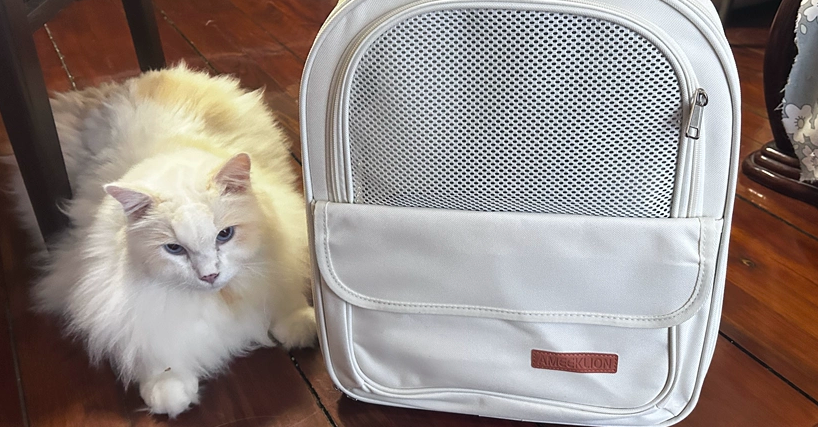 太空舱猫包哪个牌子的好?选择AMEEKLION,舒适、便捷 太空舱猫包哪个牌子的好?选择AMEEKLION,舒适、便捷