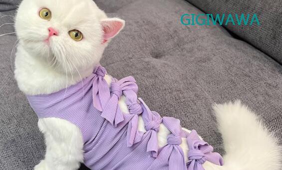 GIGIWAWA宠物衣服都是什么材质的 GIGIWAWA宠物衣服都是什么材质的