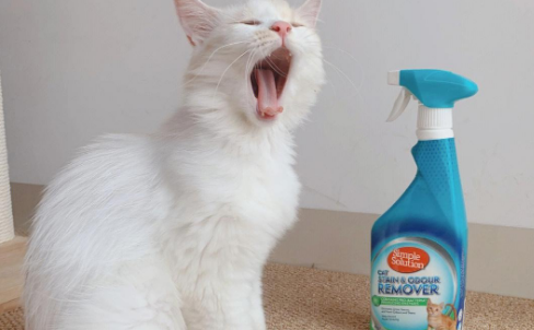 猫用除味剂有用吗?多猫家庭亲测森宝露效果惊艳 猫用除味剂有用吗?多猫家庭亲测森宝露效果惊艳