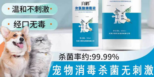 宠物消毒液哪款好？六鹤次氯酸消毒液安全又高效~
