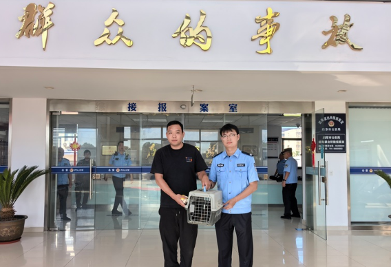 “萌”禽出没！启东近海派出所成功救助国家二级保护动物鹰鸮