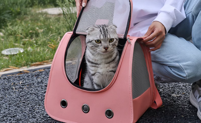 养宠家庭宠物包品牌推荐,仅爱宠猫狗通用出行更简单 养宠家庭宠物包品牌推荐,仅爱宠猫狗通用出行更简单