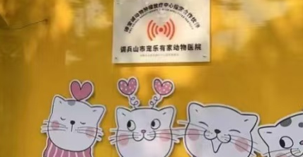 宠物医院品牌推荐:宠乐有家,用专业守护毛孩健康 宠物医院品牌推荐:宠乐有家,用专业守护毛孩健康