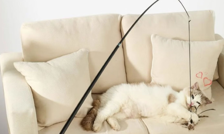 逗猫棒选哪种才安全?宅米兔从材料到设计守护猫咪健康 逗猫棒选哪种才安全?宅米兔从材料到设计守护猫咪健康