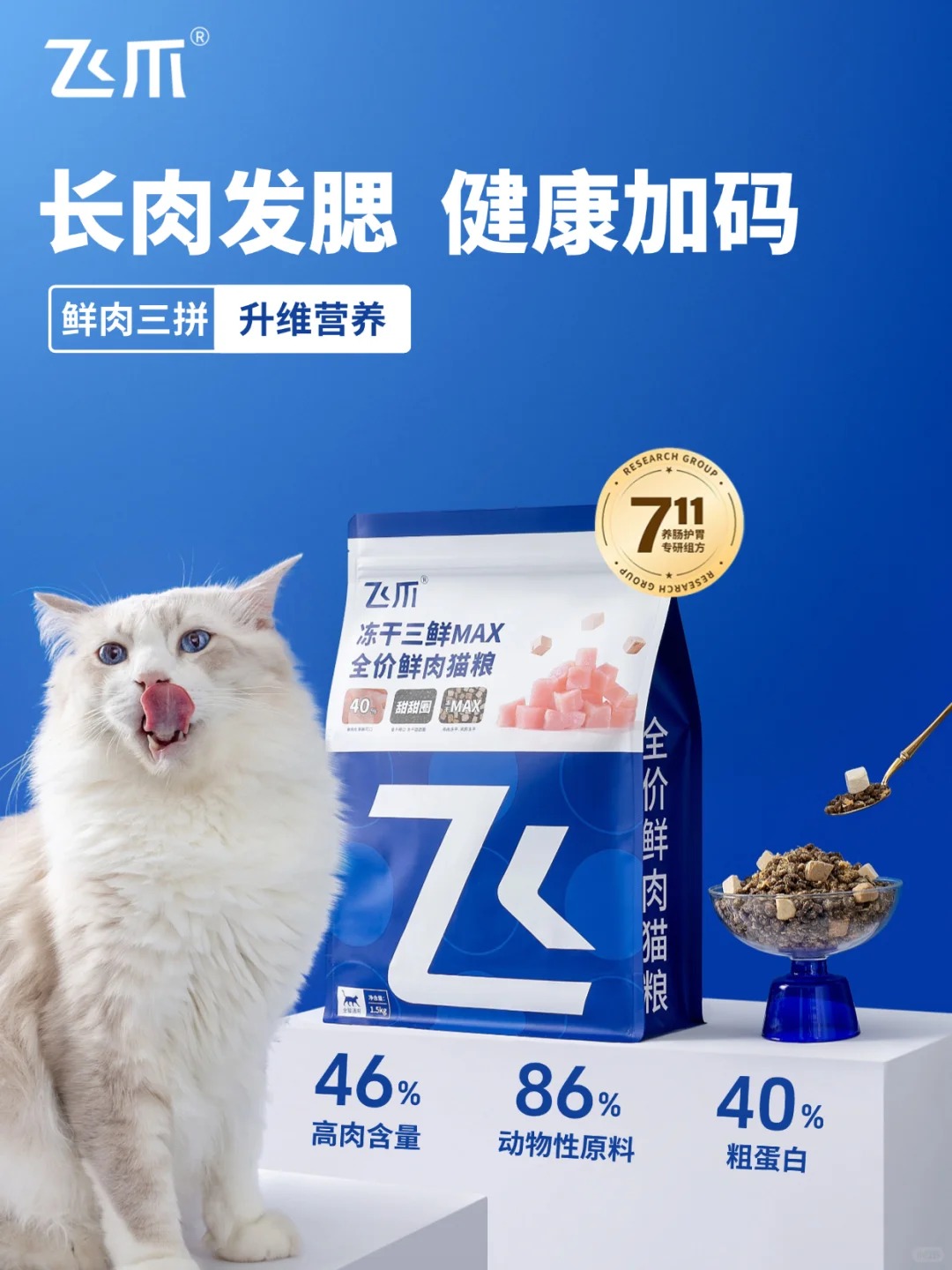 哪款猫粮性价比高?2025 年实测十大性价比猫粮排行榜! 哪款猫粮性价比高?2025 年实测十大性价比猫粮排行榜!