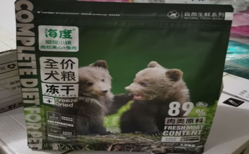 宠物小镇