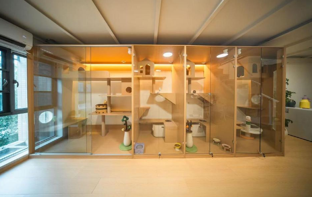 国庆长假宠物寄养“一房难求”