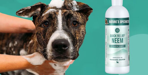 纳斯佩特沐浴露适合哪些狗 纳斯佩特沐浴露适合哪些狗