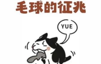 猫为什么会得毛球症？