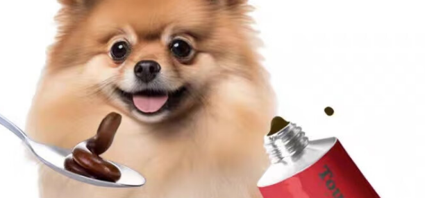 宠物营养膏的作用：它时代肝精补血膏，给它看得见的红润气色