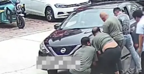 拉布拉多被轿车碾过，脂肪扛下所有伤害