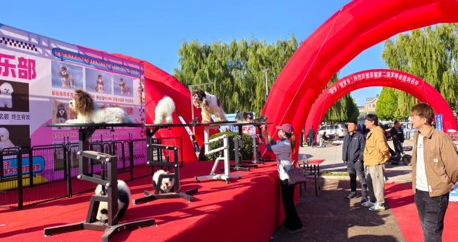 秦皇岛市昌黎县举办第二届宠博会 秦皇岛市昌黎县举办第二届宠博会