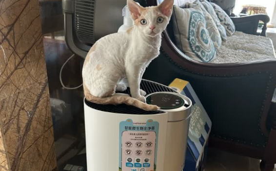 悦呼吸是正规品牌吗