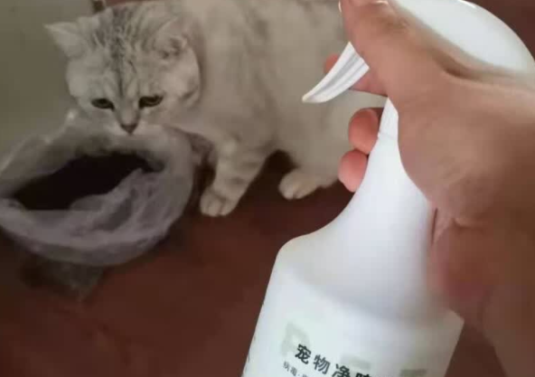 宠物杀菌除臭剂哪个品牌好?Solenal:源于德国,除菌率99.99% 宠物杀菌除臭剂哪个品牌好?Solenal:源于德国,除菌率99.99%