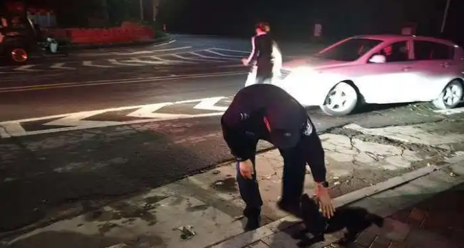 万元宠物“被盗”，民警1小时“破案”